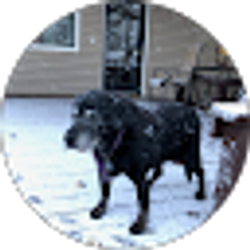 Profile photo of Clifford Langley