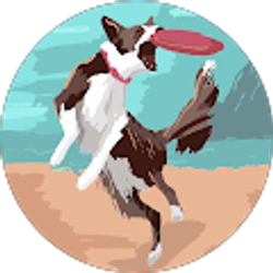 Profile photo of Stacy Hollenbeck