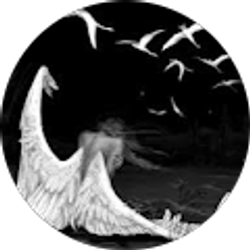 Profile photo of OathToCode