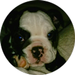 Profile photo of Amy Heath