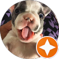 Profile photo of Michael B (Michael B)