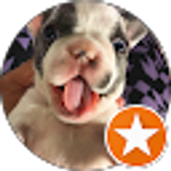 Profile photo of Michael B (Michael B)