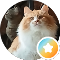 Profile photo of Kathy InMemphis