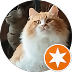 Profile photo of Kathy InMemphis