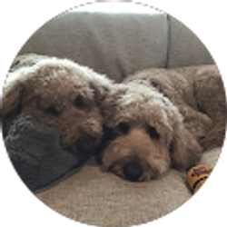 Profile photo of tyler ackerman