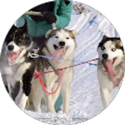 Profile photo of stephanie masters johnson