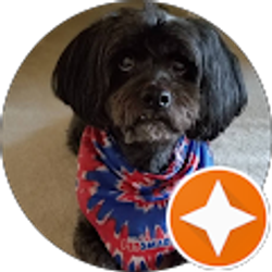 Profile photo of Vernamae Henderson