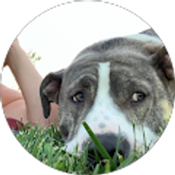 Profile photo of Jeannine March