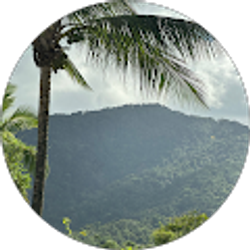 Profile photo of Alana Albert