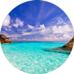 Profile photo of Gartee Barlay