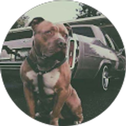 Profile photo of SSSaba Magoo