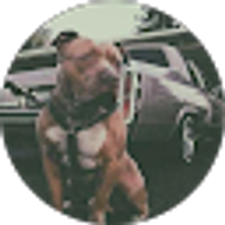 Profile photo of SSSaba Magoo