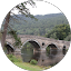 Profile photo of Andy Harrison