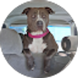 Profile photo of Jennette Plotts