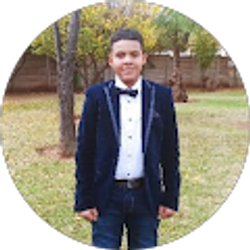 Profile photo of Ali Tarom