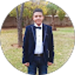 Profile photo of Ali Tarom