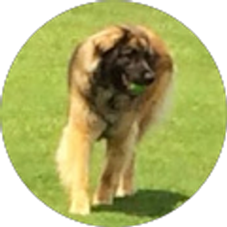 Profile photo of Shelly Mabbs