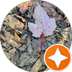 Profile photo of Dae