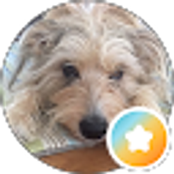 Profile photo of Francine Streich