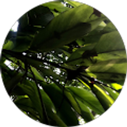 Profile photo of amber edge