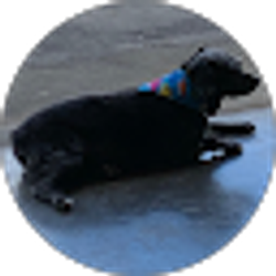 Profile photo of Gregg Thomas