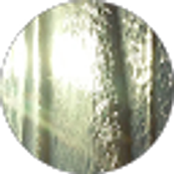 Profile photo of Felix Mendez