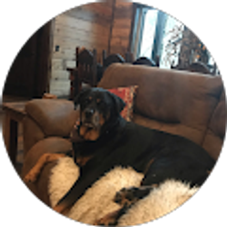 Profile photo of A Ames