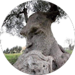 Profile photo of misael hernandez