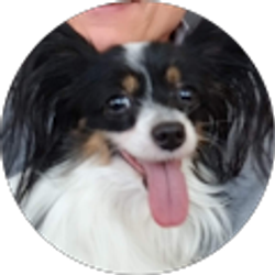 Profile photo of Ronald Kreul