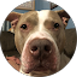 Profile photo of Sam Harman