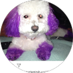 Profile photo of Yolanda Peters