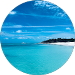 Profile photo of Robert Borrego