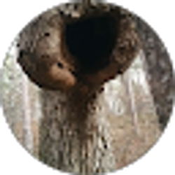 Profile photo of Zack Ferrell