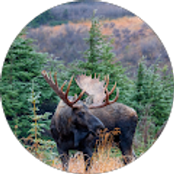 Profile photo of Matt Evans