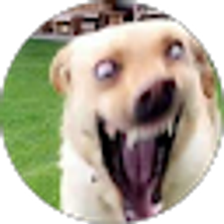 Profile photo of Bear2s