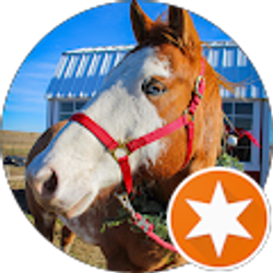 Profile photo of Leah Burnison