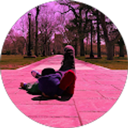 Profile photo of Andrew Z