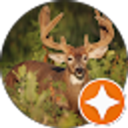 Profile photo of Brian Vogelgesang