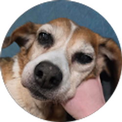 Profile photo of Thomas Good