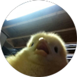 Profile photo of Edwin Aviles