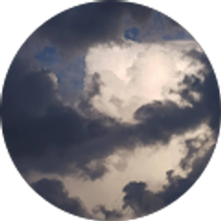 Profile photo of Miss Sunflower