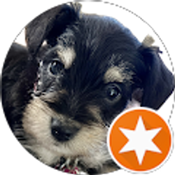 Profile photo of Brigitte Coffman