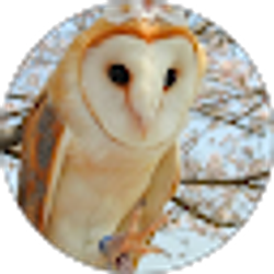 Profile photo of Deborah McRae