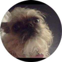 Profile photo of Christie Benninger