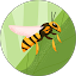 Profile photo of Anna Zalut