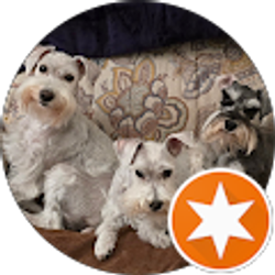 Profile photo of C. B. S.