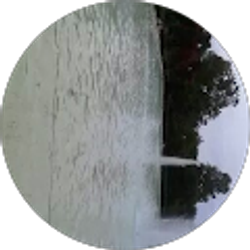 Profile photo of Rosa Landaverde