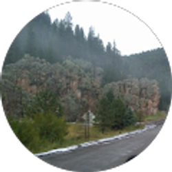 Profile photo of Sheila Walsh