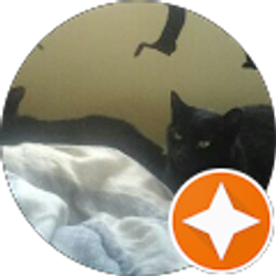 Profile photo of Gloria Williams and 2 black cats