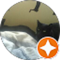 Profile photo of Gloria Williams and 2 black cats